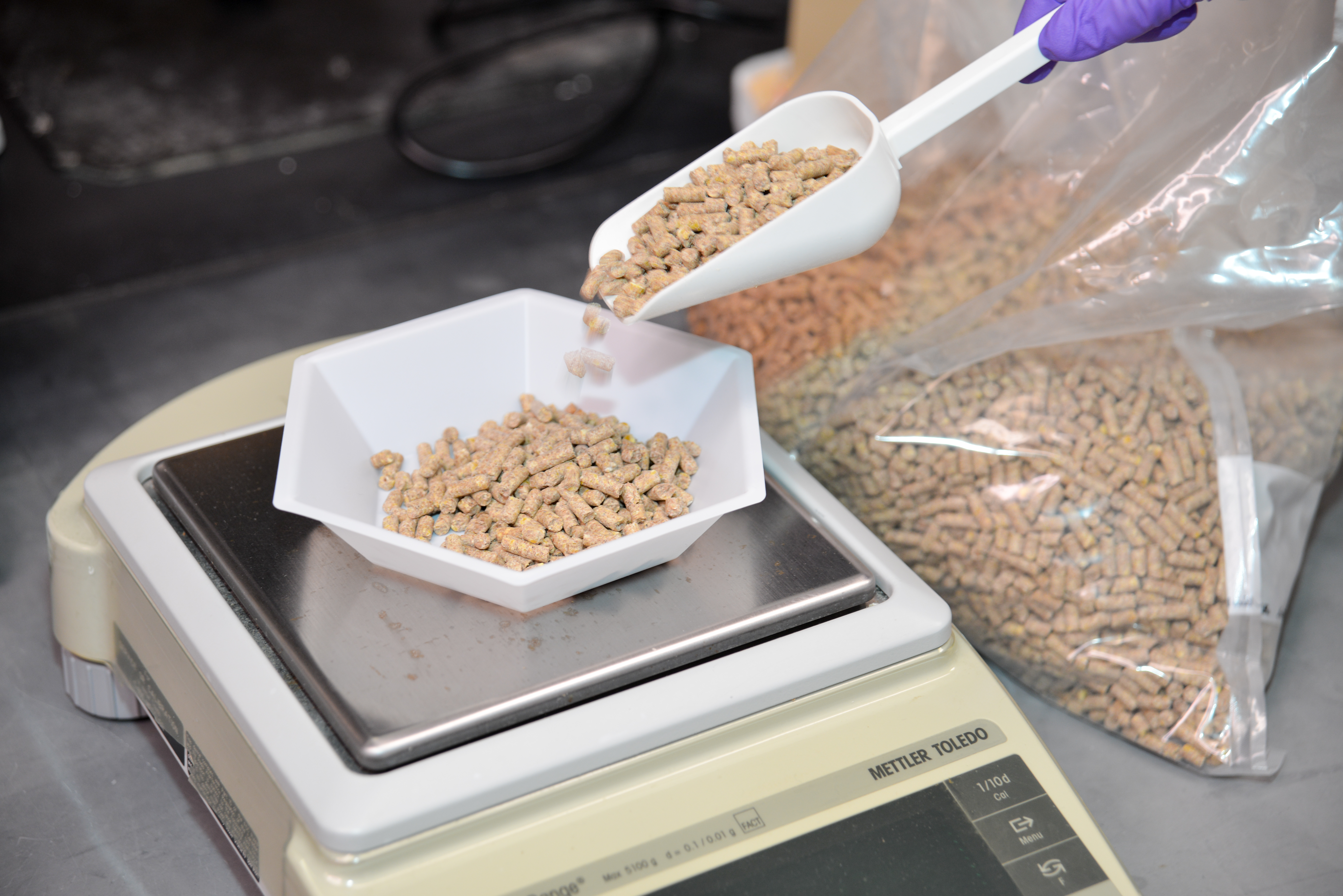 animal feed being weighed on a scale