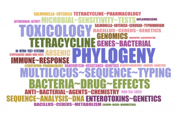 NCTR Division of Microbiology Word Cloud