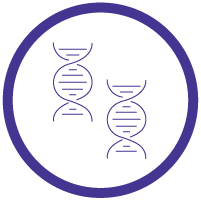 Making a GMO Plant, Step by Step - Copy