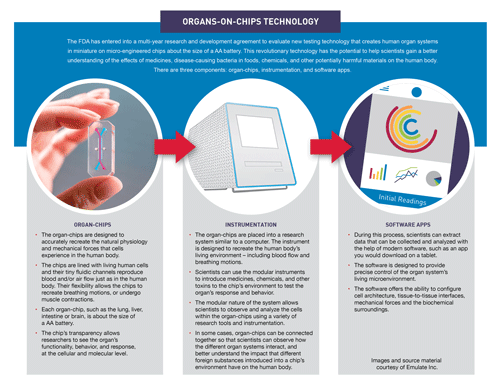 Organs-On-Chips Technology Infographic
