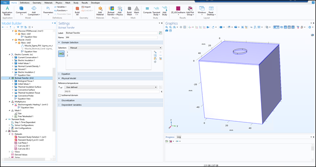 Screenshot of Bioheat Transfer module