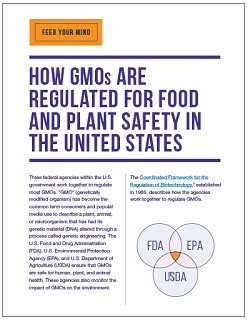 How GMOs Are Regulated