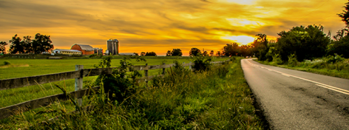 Road going through a rural community while the sun is setting.