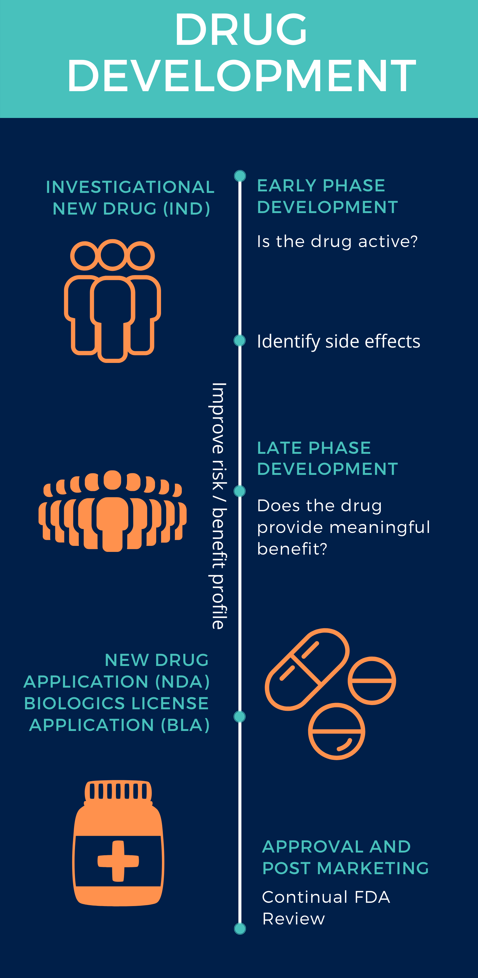 Regulatory review, beginning from early phase development and extending past marketing approval, is foundational to our work. We identify ways to improve the risk/benefit profile, provide advice on trial design, and critically assess clinical benefit within each disease context.