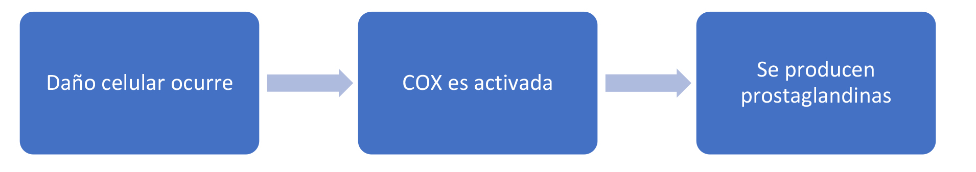 Esquema mostrando que sucede después de que las células se dañan. Ocurre el daño celular -> La enzima COX es activada -> COX estimula a la célula dañada a producir prostaglandinas.