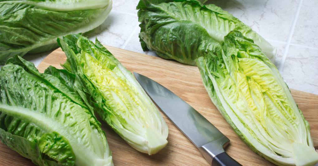 Romaine Lettuce on Chopping Board