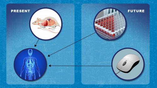 Alternative methods to traditional toxicity and efficacy testing 