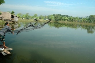 Seafood Aquaculture