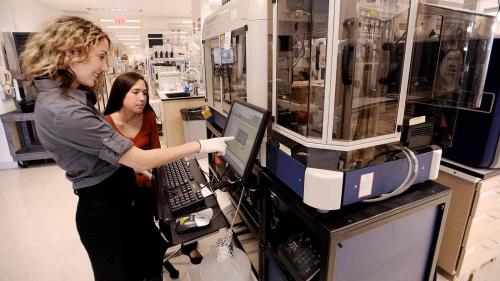 Researchers in the Sabeti Lab prepare a genomics experiment. (Credit: Oliver Douliery, Broad Institute)