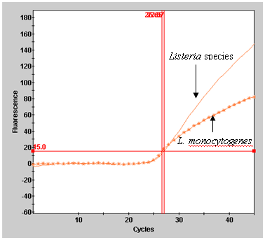 Listeria protocol: Confirmation of Listeria - Figure 1B. Example of result output from Smart Cycler II.