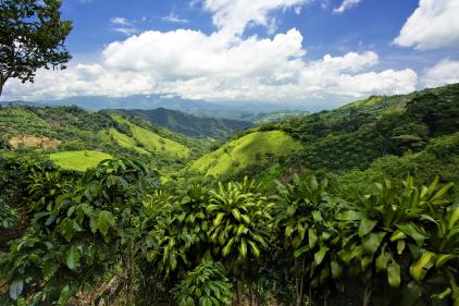 Latin America-landscape