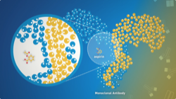 Thumbnail of The Basics of Biosimilars video