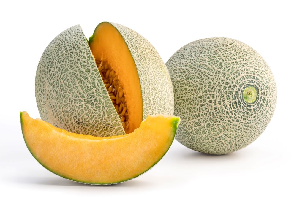 Cantaloupe