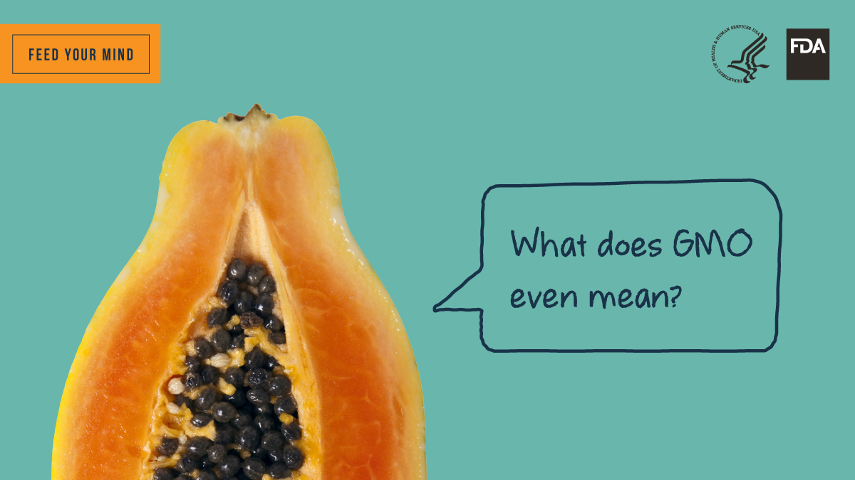 Feed Your Mind Twitter Image - Papaya