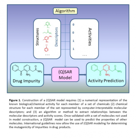 Construction of a (Q)SAR Model Requirements