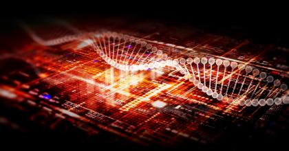 An image of advance DNA sequence analysis