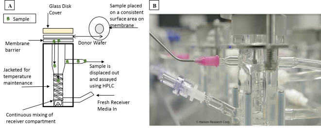 Schematic of the vertical diffusion cell (VDC) apparatus (A) and a side view of the Hanson VDC (B) used in the in vitro assessment of abuse deterrence