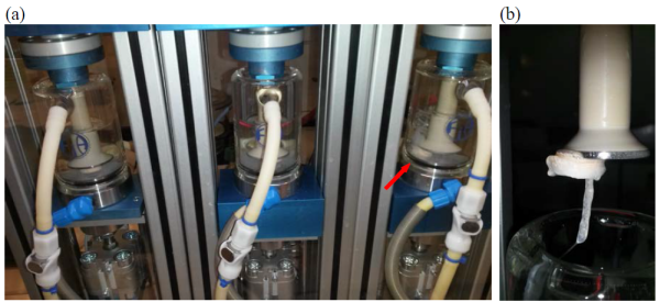 Images of Erweka DRT chewing machine (a) during the chewing cycles and (b) at the end of chewing study