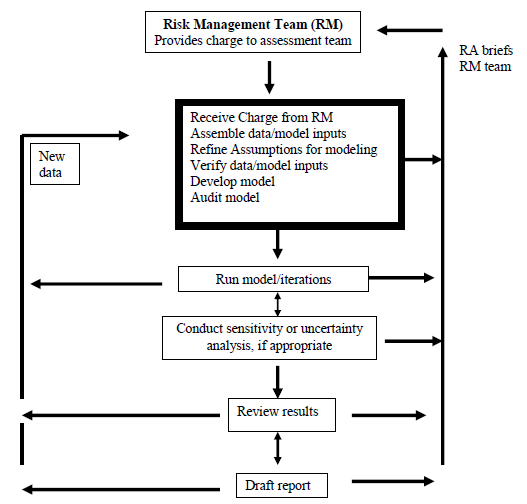 Figure III-2 provides the overall process of conducting a risk assessment and the various activities such as: Receive Charge from RM, Run model/iterations, Conduct senstivity or uncertainty analysis, Review results and Draft report.  The iterative nature of the risk assessment is illustrated by the feedback loops to the Risk Management Team.  