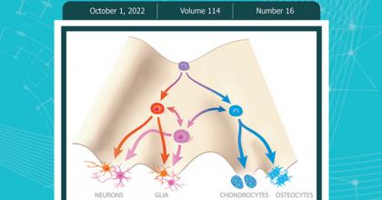 Cover of Birth Defects Research October 2022