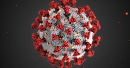 Image of Covid virus