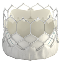 Edwards SAPIEN 3 Transcatheter Heart Valve System with Edwards Commander  Delivery System