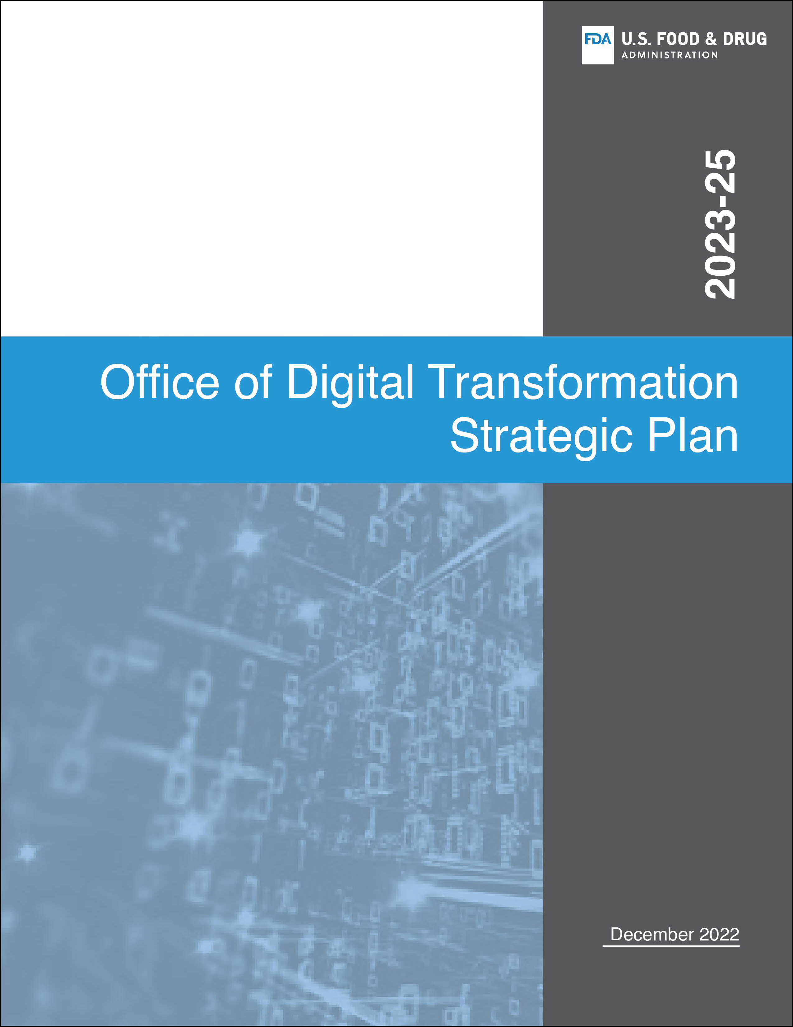 Office of Digital Transformation Strategic Plan 2023-25