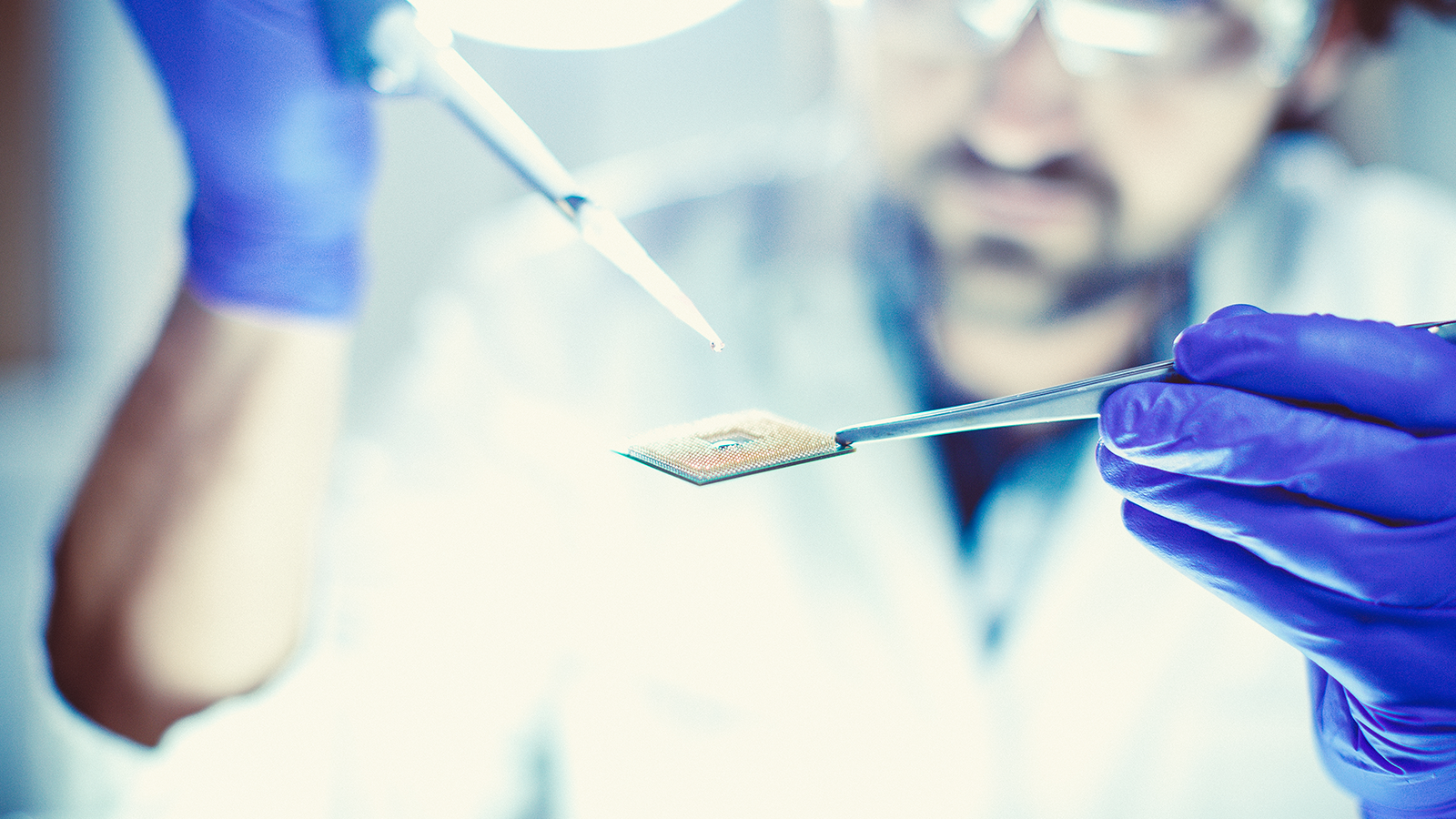 A scientist wearing gloves pipetting liquid on to chip held with forceps