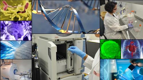 Collage of science-related images including bacteria, a brain, data, an MRI machine, a DNA helix, scientists studying their samples, a heart, and someone looking through a microscope