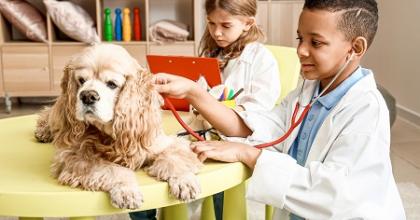 Two children are dressed up as veterinarians in a playroom. A gentle dog is laying on a table. They pretend to monitor the vital signs of the dog.
