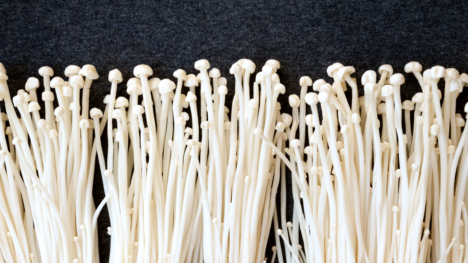 Group of long, thin, white mushrooms