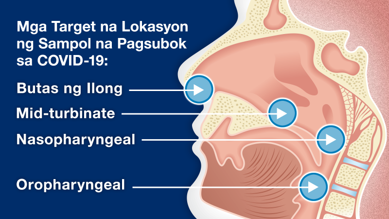 Mga Target na Lokasyon ng Sampol na Pagsubok sa COVID-19: Butas ng Ilong, Mid-turbinate, Nasopharyngeal, Oropharyngeal