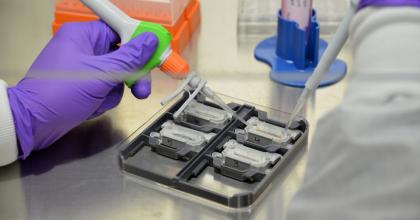 The photo shows a scientist working with Organ on a Chip technology in a laboratory.