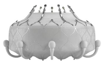 EVOQUE Tricuspid Valve Replacement System is an artificial heart valve 