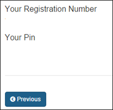 Figure 4 - PIN Successfully Retrieved