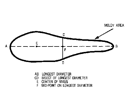 Calculation of Average Diameter of Moldy Areas