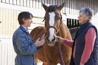 veterinarian with horse