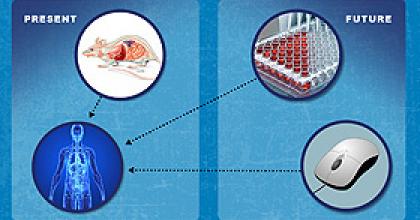 Cutting-edge tools for disease modeling, efficacy, and safety