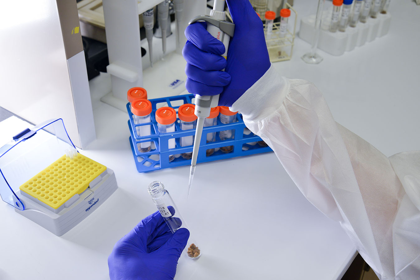 A scientist is pipetting liquid into a test tube.