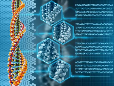 Image of a DNA analysis highlighting the molecular structure of a DNA strand.