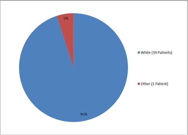 Pie chart summarizing the percentage of patients by race enrolled in the STRENSIQ clinical trial. In total, 19 Whites (95%) and 1 Other (5%) participated in the clinical trial.