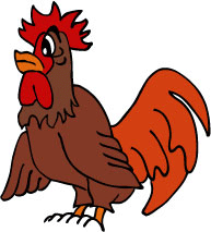 cartoon chicken