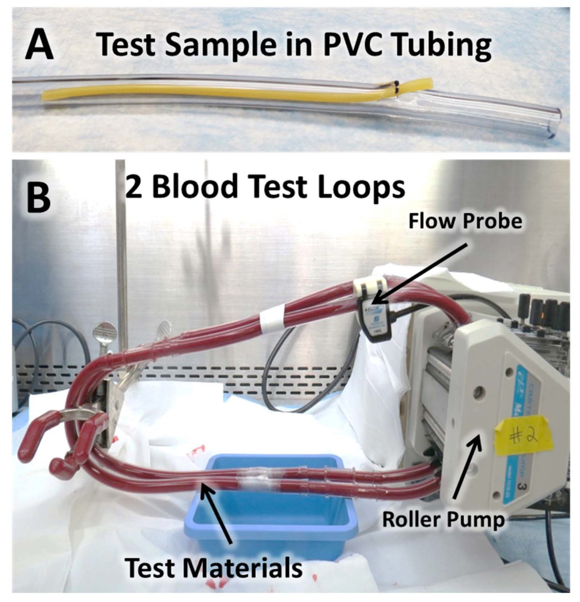 Figure 1: A) Representative image of how a test material is introduced through the sidewall of the PVC tubing into the flow loop. B) Experimental setup of the dual dynamic blood flow loop test systems.