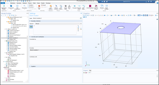 Screenshot of Assigning Boundary and Initial Condition -Electrical Insulation boundary condition