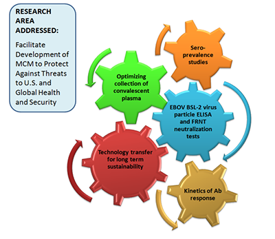 Facilitate MCM dev. to protect U.S., global health security. Seroprevalence studies, optimizing conv. plasma collection, EBOV BSL-2 ELISA & PRNT neutralization, tech transfer, Ab response kinetics.