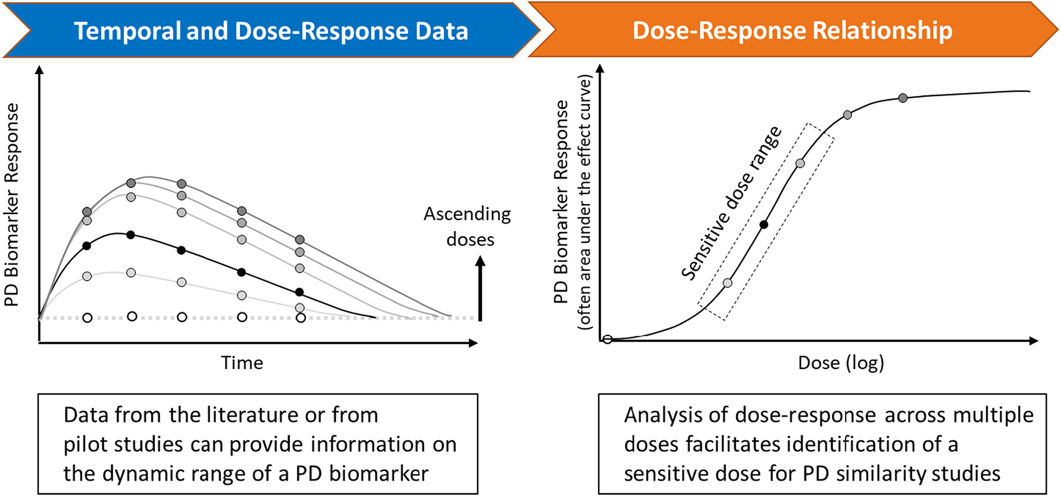 Example temporal and dose—response data for a PD biomarker