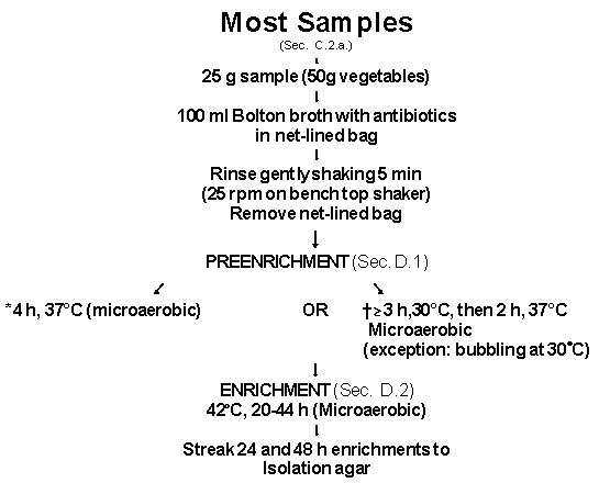 Image of Sample Preparation