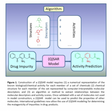 Q(SAR) Model Requirements