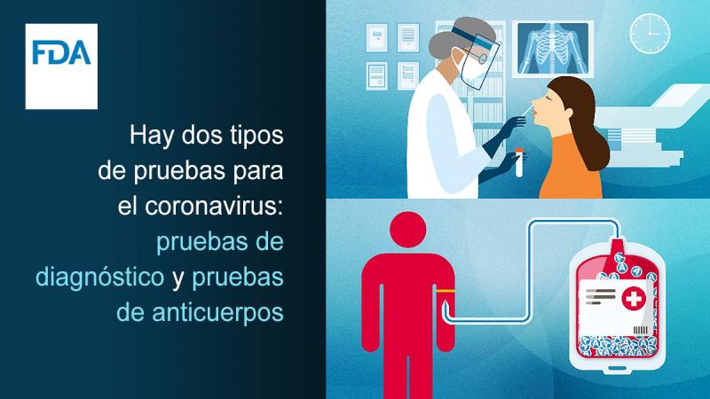 COVID-19 Test Types Spanish