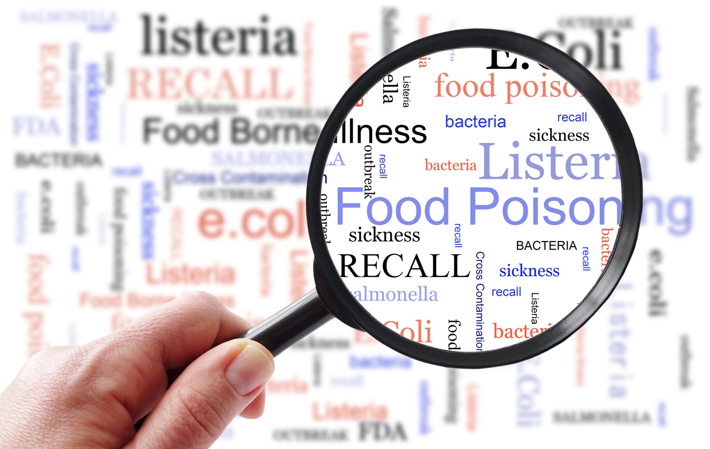 Outbreaks of Foodborne Illness